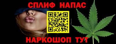 стафф Донецк