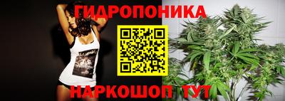 прущие грибы Дубна
