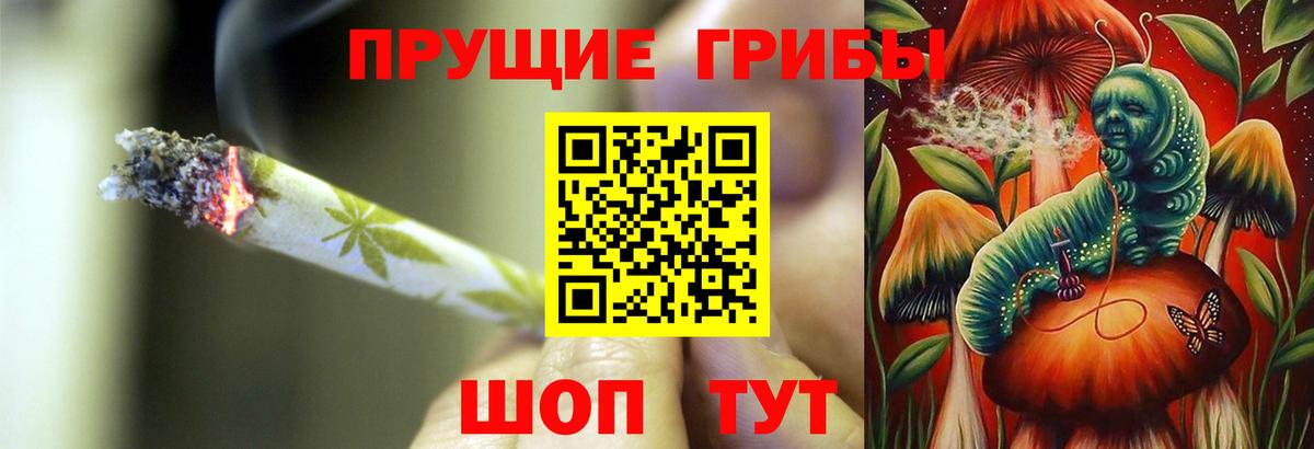 Псилоцибиновые грибы Psilocybe Ликино-Дулёво